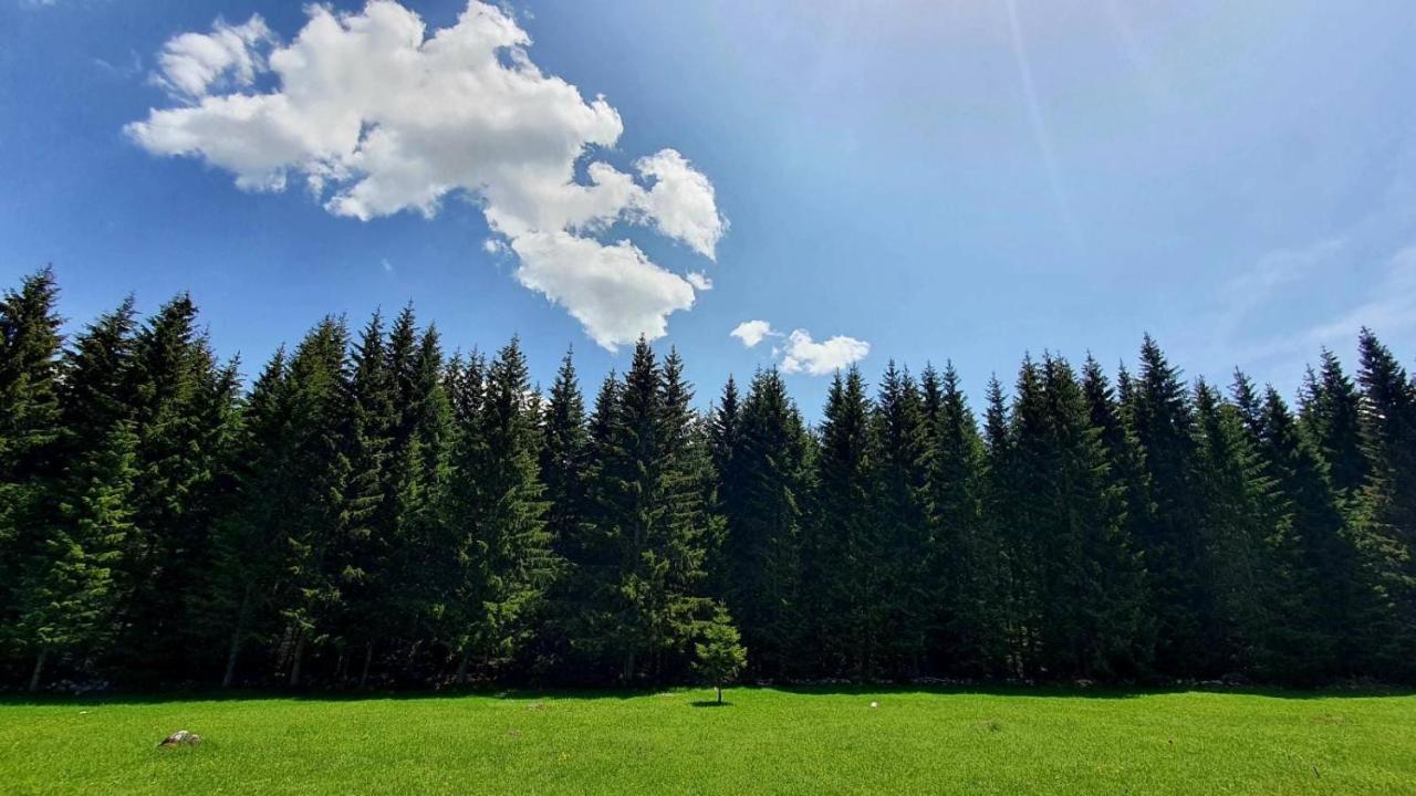Rajska Suma Villa Žabljak Dış mekan fotoğraf