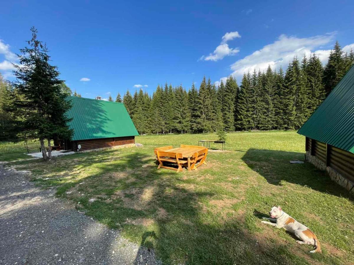 Rajska Suma Villa Žabljak Dış mekan fotoğraf