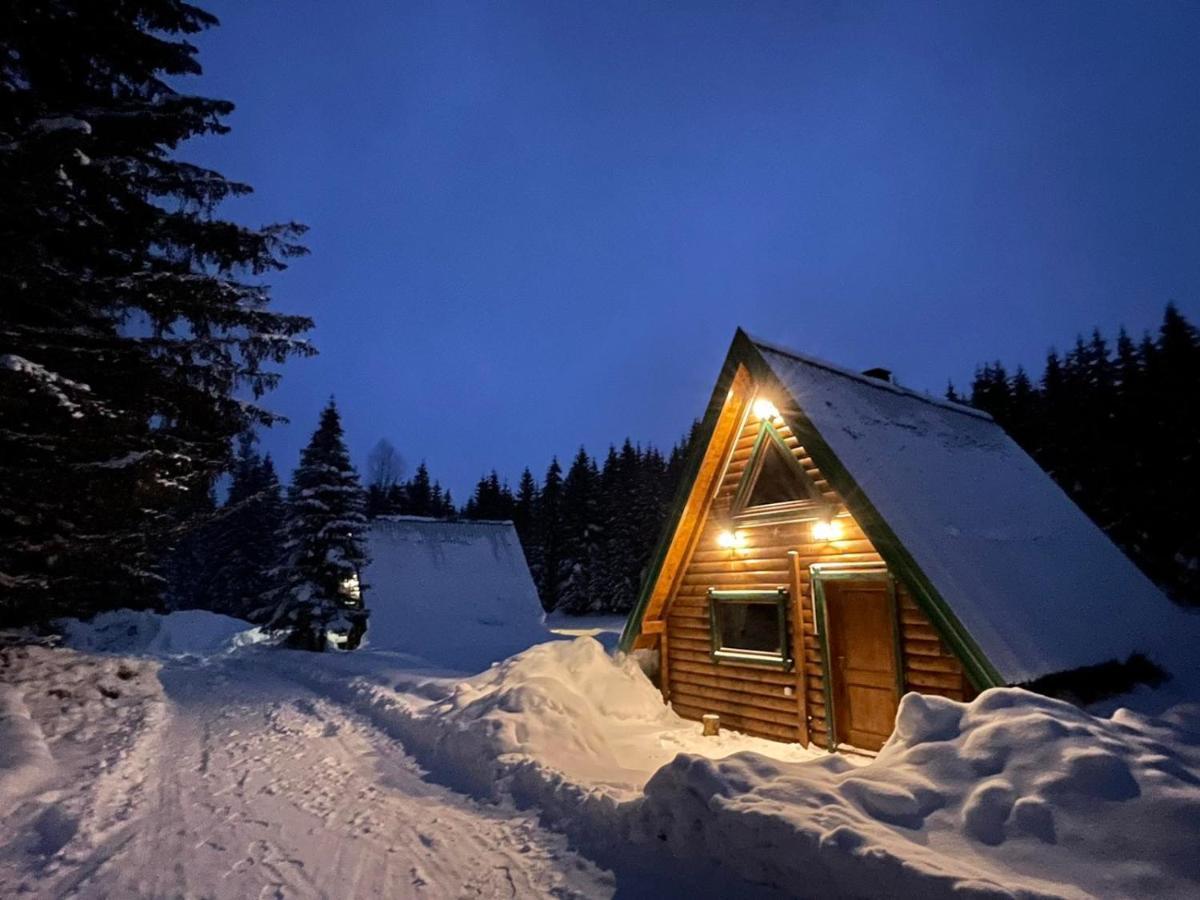 Rajska Suma Villa Žabljak Dış mekan fotoğraf