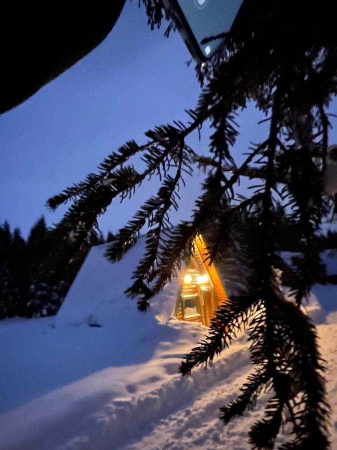 Rajska Suma Villa Žabljak Dış mekan fotoğraf
