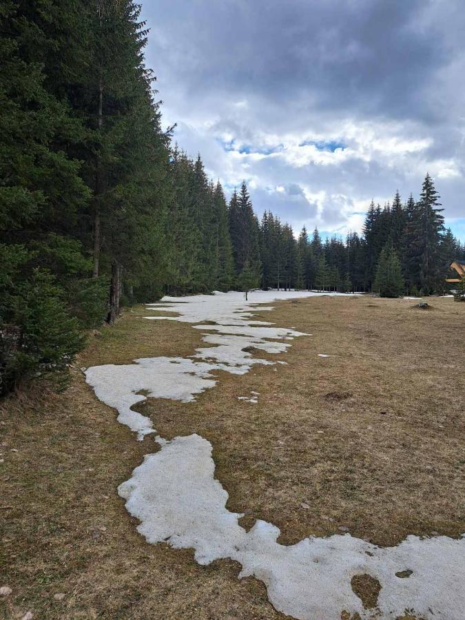 Rajska Suma Villa Žabljak Dış mekan fotoğraf